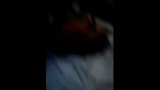 भीड संग बिल्ली र गधा मा पिटाई.